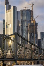 Skyline of the city centre of Frankfurt am Main, river Main, Eiserner Steg bridge, dusk, Hesse,