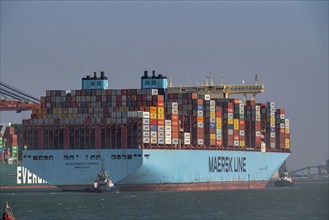 Container ship of the shipping company Maersk Line, Maastricht Maersk, leaving the harbour, towed