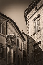 She-wolf and children, sculpture in the historic centre, heraldic animal, monument, symbol,