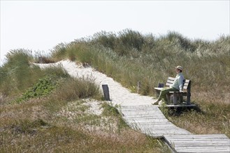 Elderly, woman sitting on bench, wooden footbridge, reed grass, circular hiking trail, nature