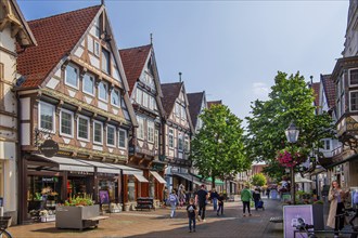 Zöllnerstrasse in the old town centre with typical half-timbered houses, Celle, Lüneburg Heath,