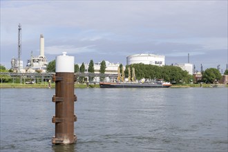 BASF, Lugwigshafen am Rhein, industrial area, Poller, Mannheim, Baden-Württemberg, Germany, Europe