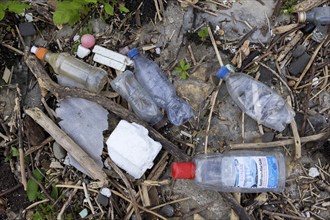 Symbolic image Environmental pollution, plastic waste, rubbish, flotsam from a flood on the Neckar