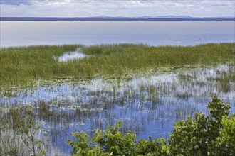 Lake St. Lucia, largest estuarine lake in Southern Africa in the iSimangaliso Wetland Park,