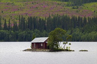 Wooden cottage on island in lake at Gäddede, Jämtland, Sweden, Scandinavia, Europe