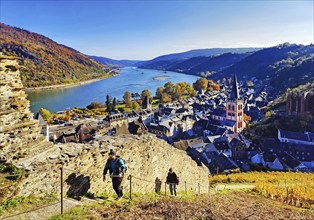 Autumn view of Bacharach on the Rhine with St. Peter's Church, UNESCO World Heritage Upper Middle