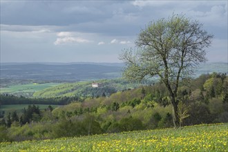 View from the Maulkuppe, mountain in the Hessian Rhön nature park Park, Bieberstein Castle in the