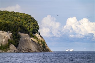 The chalk cliffs of Rügen, cliffs of the Stubbenkammer, in the Jasmund National Park, view of the