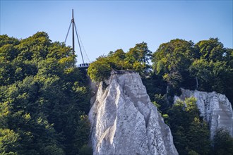 Chalk cliffs of Rügen, viewing platform at the famous rock formation Königsstuhl, in the Jasmund