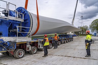 Preparation for the transport of a 68 metre long blade, a wind turbine, with a self-propelled