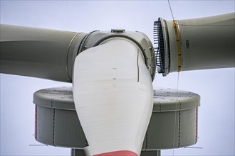 Erection of a wind turbine, wind energy plant, assembly of the third blade, with a crawler lattice