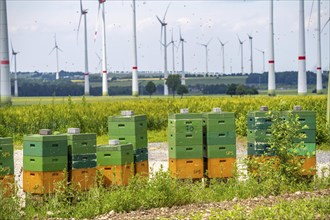 Wind farm north of Marsberg, many beehives at the foot of a wind turbine, Hochsauerlandkreis, North