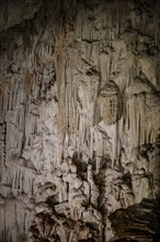 Stalactites in a stalactite cave, Terciopelo Cave, Barra Honda National Park, Costa Rica, Central