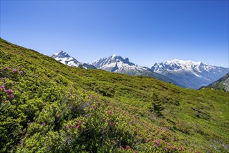 Mountain panorama with glaciated mountain peaks, Aiguille Verte with Aiguille du Midi and Mont