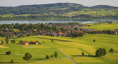 Panorama over Schwangau to Waltenhofen with Forggensee, Ostallgaeu, Allgaeu, Swabia, Bavaria,