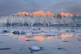 Morning light, mountains, snowy, reflection, sea, coast, fjord, winter, Lyngen Alps, Norway, Europe