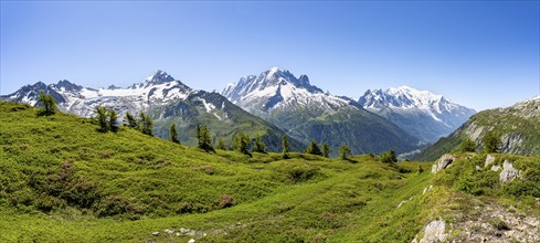 Mountain panorama with glaciated mountain peaks, Aiguille de Chardonnet with Glacier du Tour,