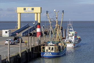 Pellworm ferry terminal, fishing boat, SAR boat, harbour, Strucklahnungshörn, Nordstrand,