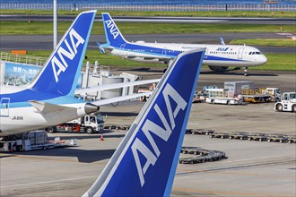 Tail units of ANA All Nippon Airways aircraft at Tokyo Haneda Airport, Japan, Asia