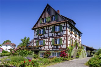 Flower gardens and houses in Mittelzell, Reichenau Island on Lake Constance, Baden-Württemberg,