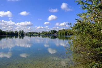 Waldschwaigsee, near Dachau, Dachauer moss, Upper Bavaria, Bavaria, Germany, Europe