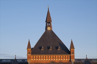 Copenhagen Central Station, Københavns Hovedbanegård, designed by architect Heinrich Wenck,