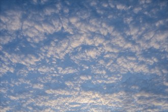 Cloud structure, cloud formation, cirrocumulus illuminated by the evening sun, full-size, district