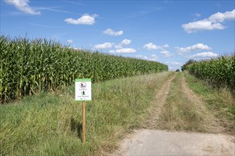 Sign for dog owners that they should stay on the paths and that dogs must be kept on a lead.NABU,