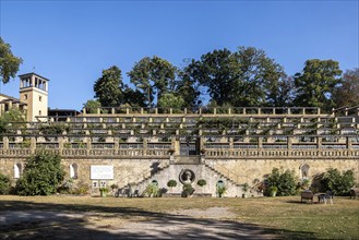 Winzerberg in Potsdam, Prussian Palaces and Gardens Foundation Berlin-Brandenburg. Part of the