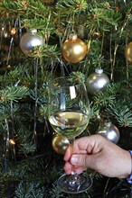 Christmas wine enjoyment, Christmas tree, December, Germany, Europe