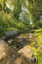 Small stream surrounded by lush vegetation and stones in a wooded area, Nagold, Black Forest,