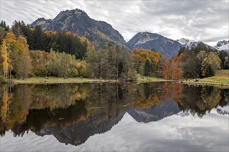 Moor, moor pond, water reflection, autumn colours, autumn coloured trees, behind Allgäu Alps,