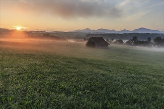 Morning light, foggy mood, hut, meadow, summer, Habach, view of Kochler mountains, Alpine