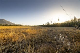 High moor, sunrise over a vast meadow with a view of mountains on the horizon, Hochkrimml,