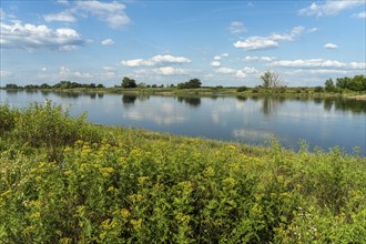 The Elbe near Tangermünde, Saxony-Anhalt, Germany, Europe