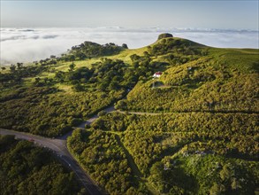 Aerial view of idyllic scenic Fanal Laurisilva forest with centuries-old til trees above clouds