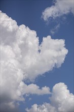 Cumulus cloud (Cumulus), Bavaria, Germany, Europe