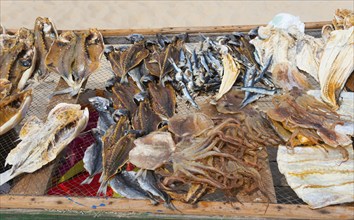 A net with dried fish of different species on a wooden frame on the beach, fish drying, Praia da