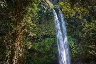 Tiu Kelep waterfall, nature, landscape, flowing, river, fresh, clear, clean, environment,