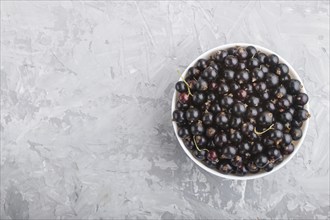 Fresh black currant in white bowl on gray concrete background. top view, flat lay, copy space