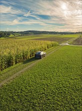 Black car driving on a dirt track next to a cornfield in a green agricultural landscape under a