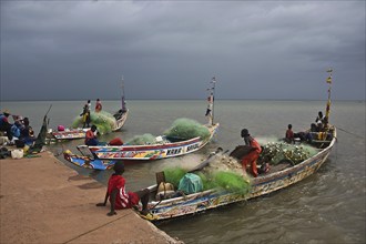 Return of the fishermen on the Gambia river (AlbredaGambia)