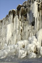 Ice crust on tree trunks at a wet wood store, Sauerland, North Rhine-Westphalia, frost, ice,