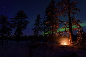 Man in the evening at a bivouac with campfire, Lapland, Sweden, Scandinavia, Europe