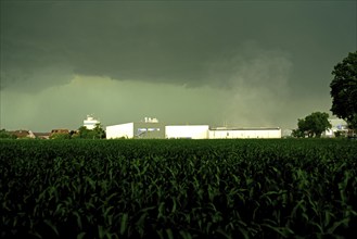 Europe, Germany, Lower Saxony, Stade district, thunderstorm over maize field with production halls