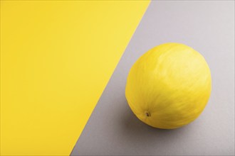 Ripe yellow melon on gray and yellow pastel background. Side view, copy space. harvest, healthy,