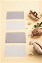 Composition of gray paper business cards, seashells, green boxwood. mockup on orange background.