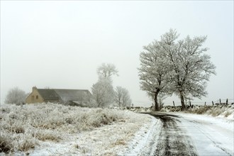 Aubrac plateau. Isolated farm in winter. Lozere department, Occitanie. France