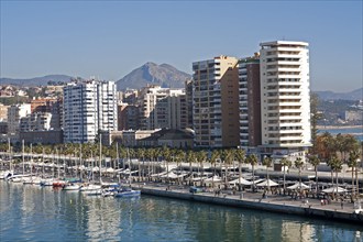 Apartment blocks and yachts in marina of Muelle Uno port development, city of Malaga, Spain, Europe