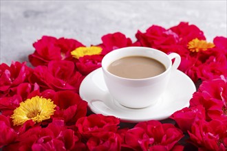 Red rose flowers and a cup of coffee on a gray concrete background. Morninig, spring, fashion